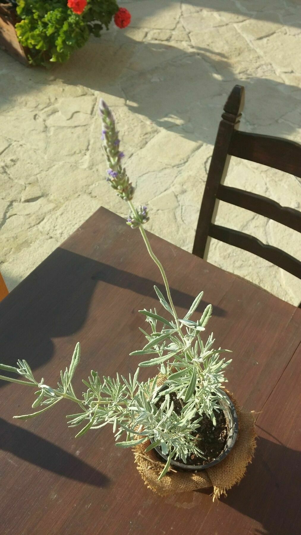 το σπίτι του δασκάλου Πανσιόν Μαρώνι